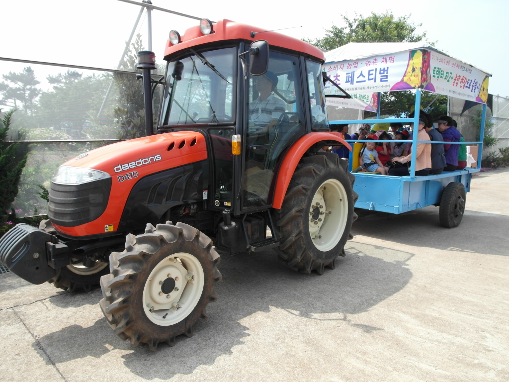 소비자 농업농촌 체험 백년초 페스티벌 - 농업 체험